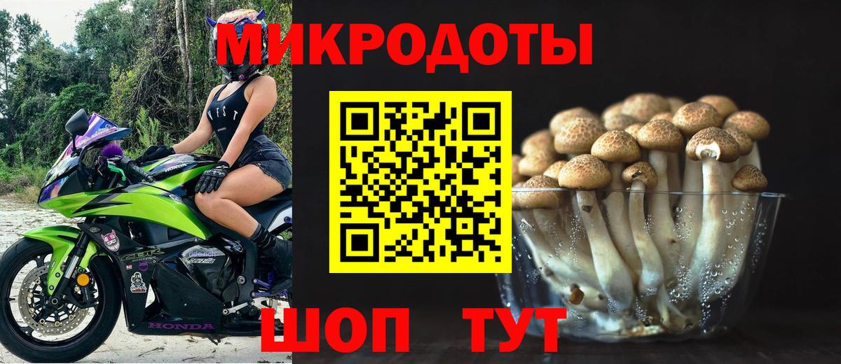 Галлюциногенные грибы Magic Shrooms Кубинка