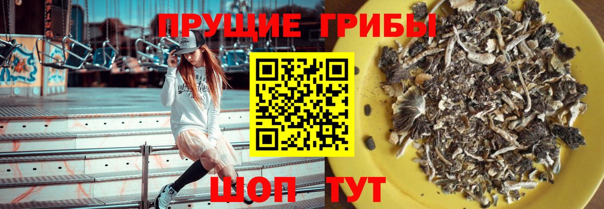 Кубинка  где можно купить   Вход с VPN  Галлюциногенные грибы мухоморы  Псилоцибиновые грибы мухоморы 